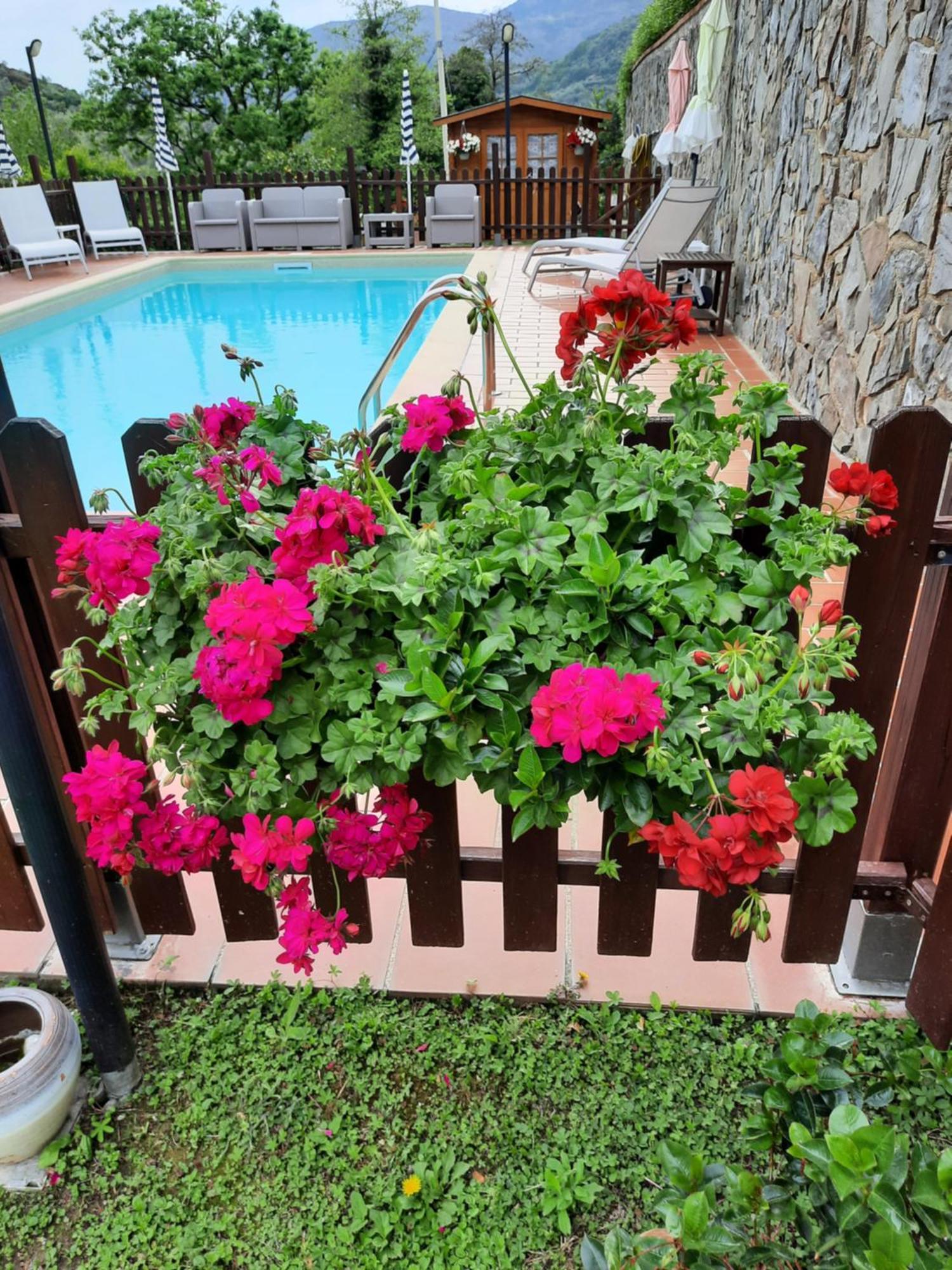 B&B Vignola Levanto Exteriör bild