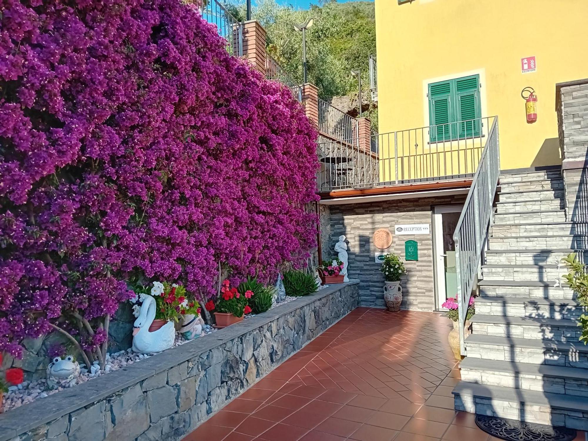 B&B Vignola Levanto Exteriör bild